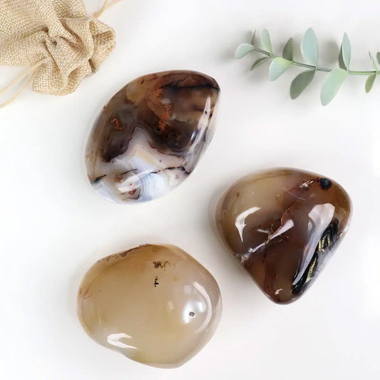 Agate Palm Stone Crystal